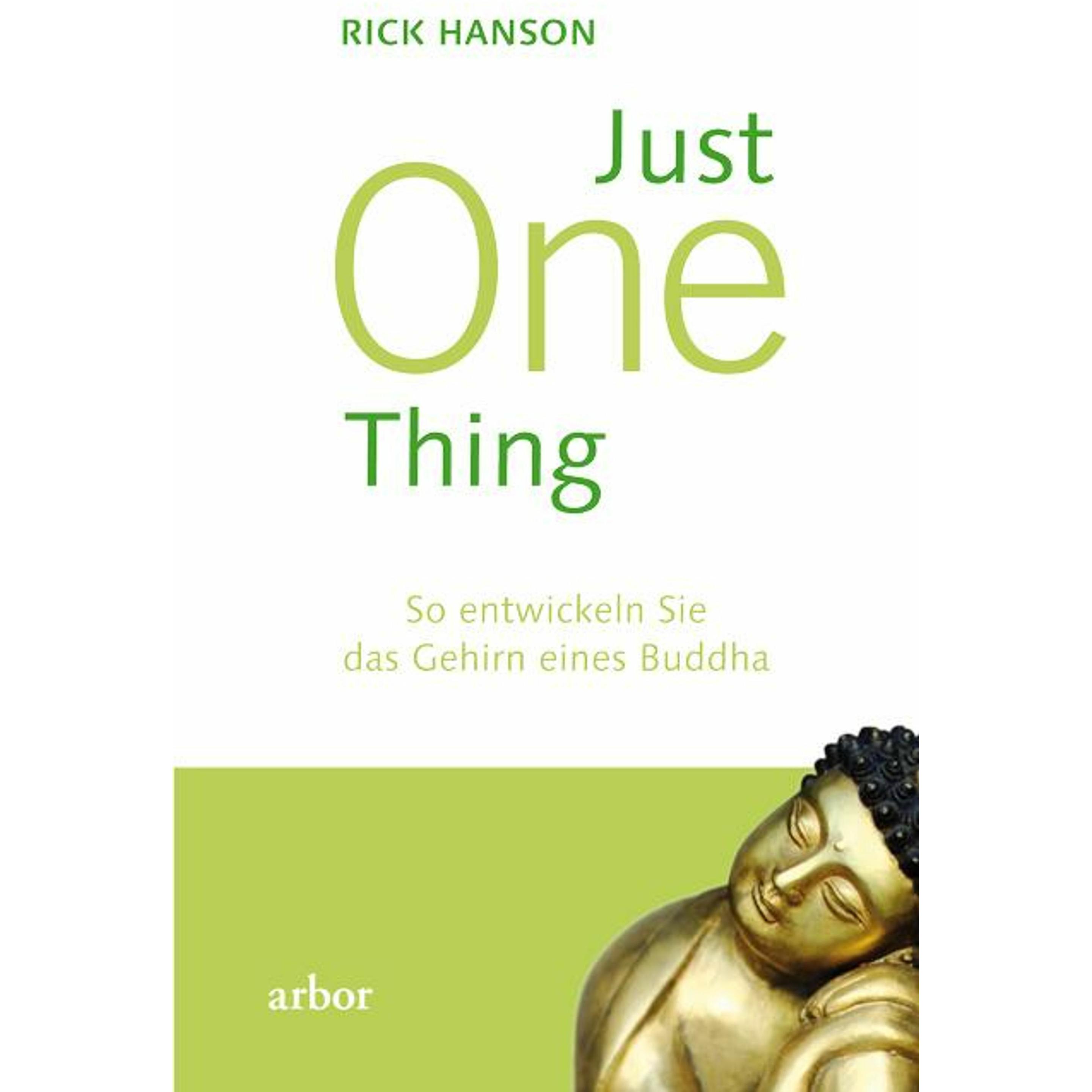 Just One Thing, Ratgeber von Rick Hanson, Mike Kauschke