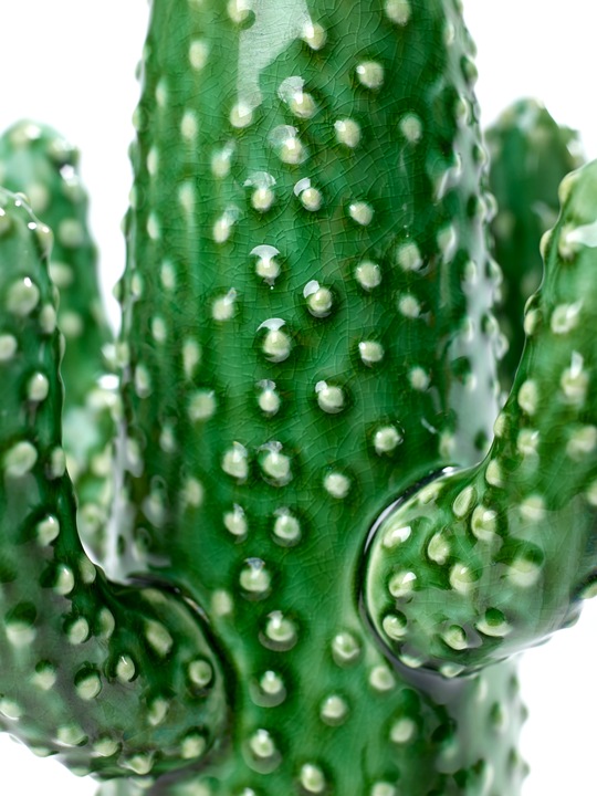 Image du produit Serax Cactus Moyen (1 x)
