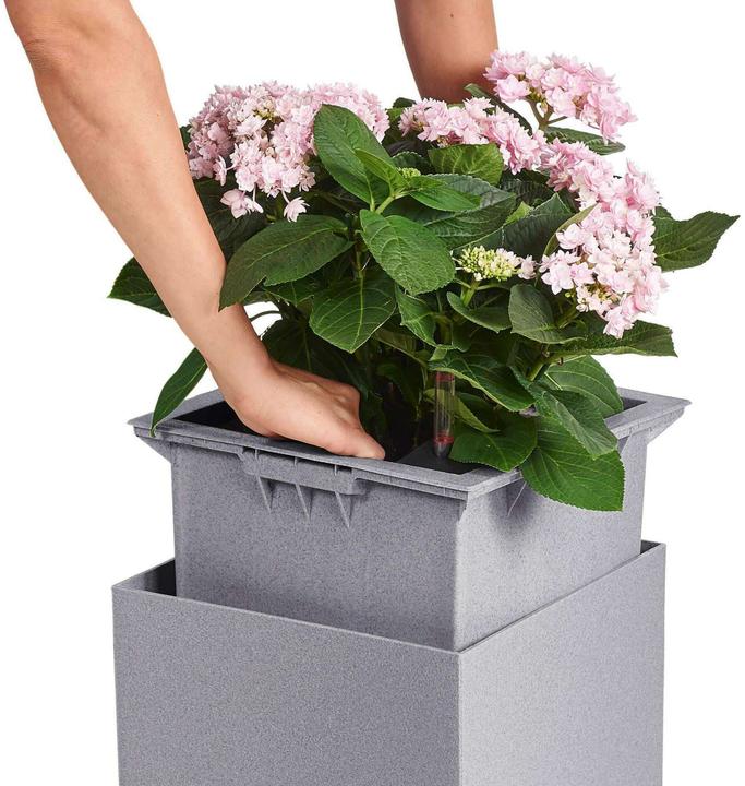 Image du produit Lechuza Colonne Canto Color (30 x 30 x 56 cm)