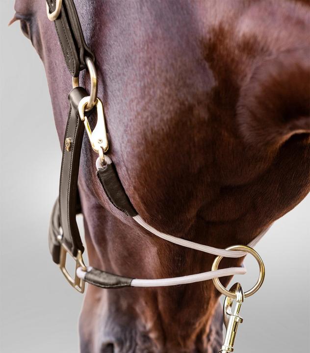 Produktbild Waldhausen S-Line Royal