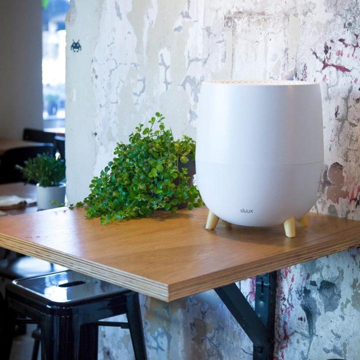 Produktbild Duux Ovi (30 m²)