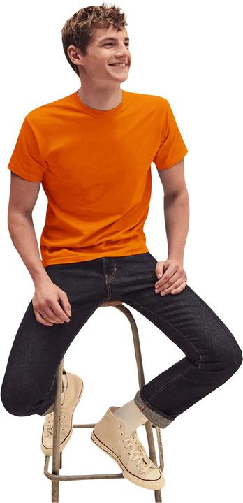 Actual product image Fruit of the Loom Screen Stars Original TShirt (M)