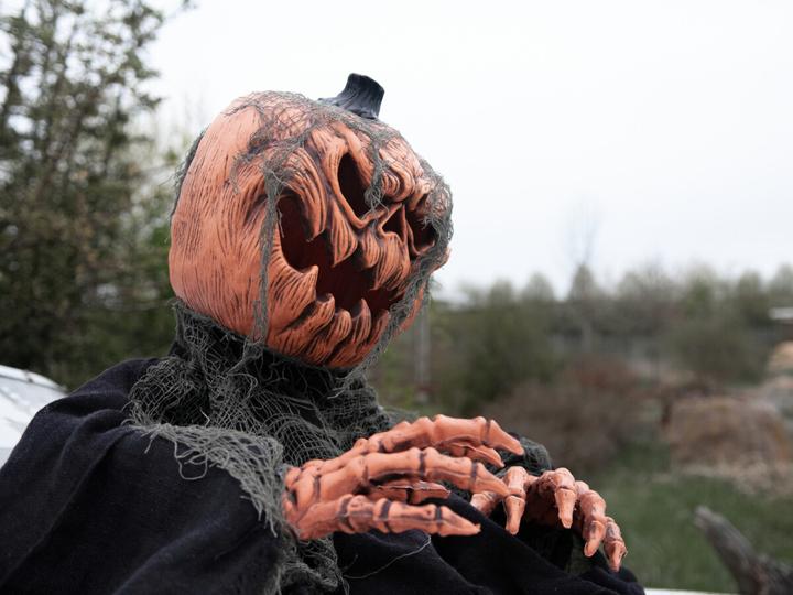 Actual product image Europalms Halloween pumpkin monster (1 Piece)