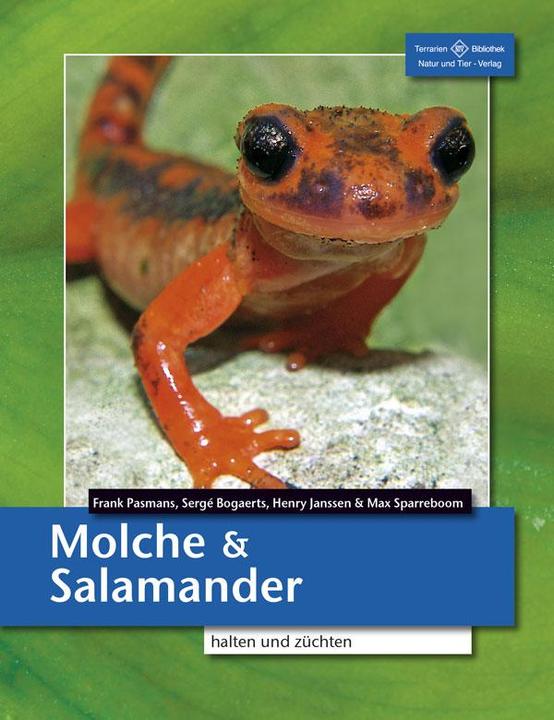Image du produit Molche und Salamander (Allemand, Henry Janssen, Frank Pasmans, Sergé Bogaerts, Max Sparreboom, 2016)