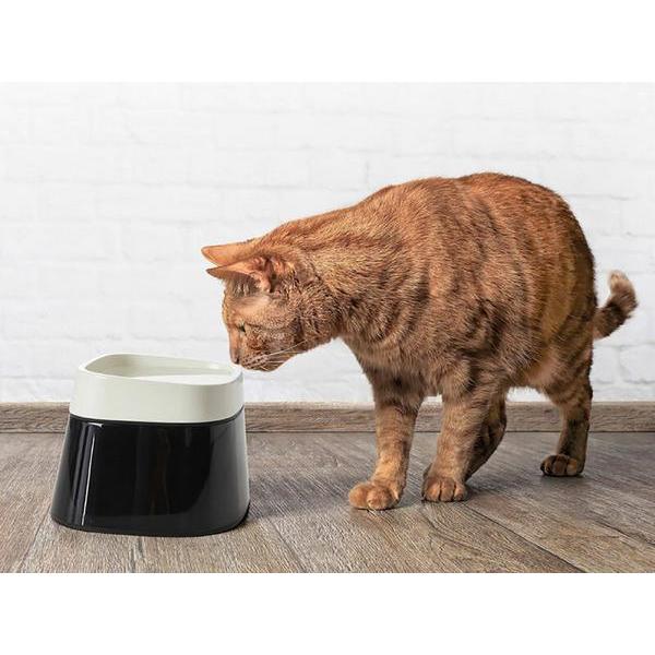 Thumbnail - Savic Ergo Cube Water, Futternapf Zubehör