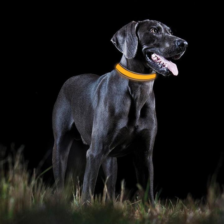 Produktbild Tractive LED Dog Collar (S, Hund, Spazieren)