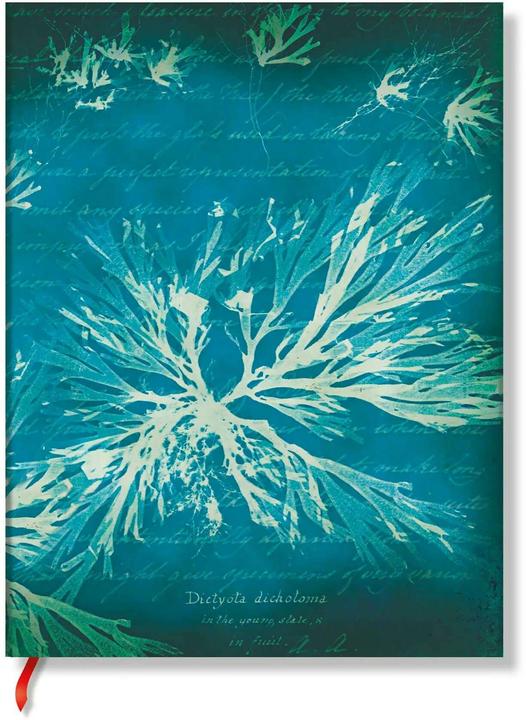 Produktbild Paperblanks Notizbuch Softcover Meeresblumen Mini Liniert (9 x 14 cm, Liniert, Weicher Einband)