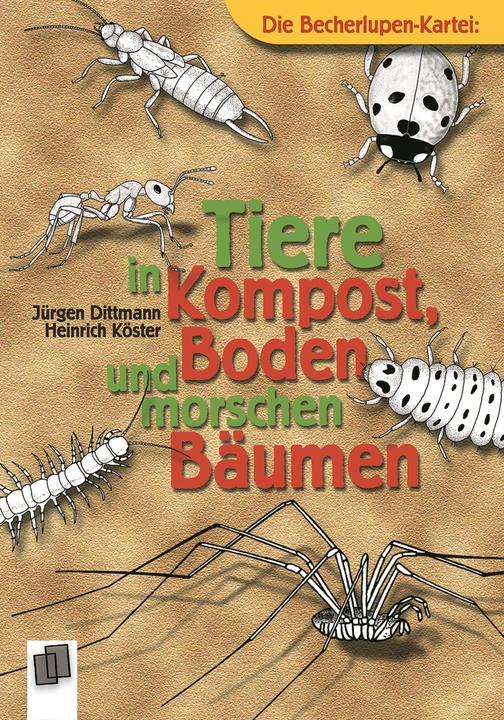 Produktbild Tiere in Kompost, Boden und morschen Bäumen (Deutsch, Heinrich Köster, Jürgen Dittmann, 1999)
