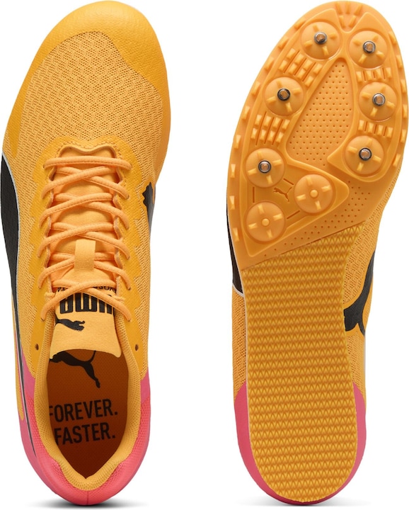Image du produit Puma evoSPEED Star 9 (42.5)