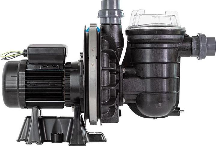 Actual product image Pentair Sta-Rite Duraglas PRC-1 Filterpumpe 0,37 kW 0,5 PS 230 V 9 m³/h Ref. P-STR-051E2