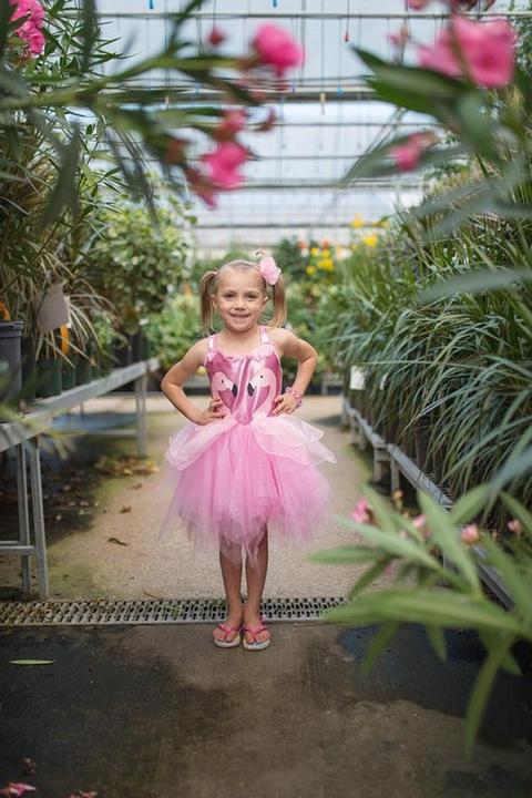 Actual product image Creative Education Flamingo dress, 5-6 years dress 76-86 cm long, pink tulle, hairband (116)