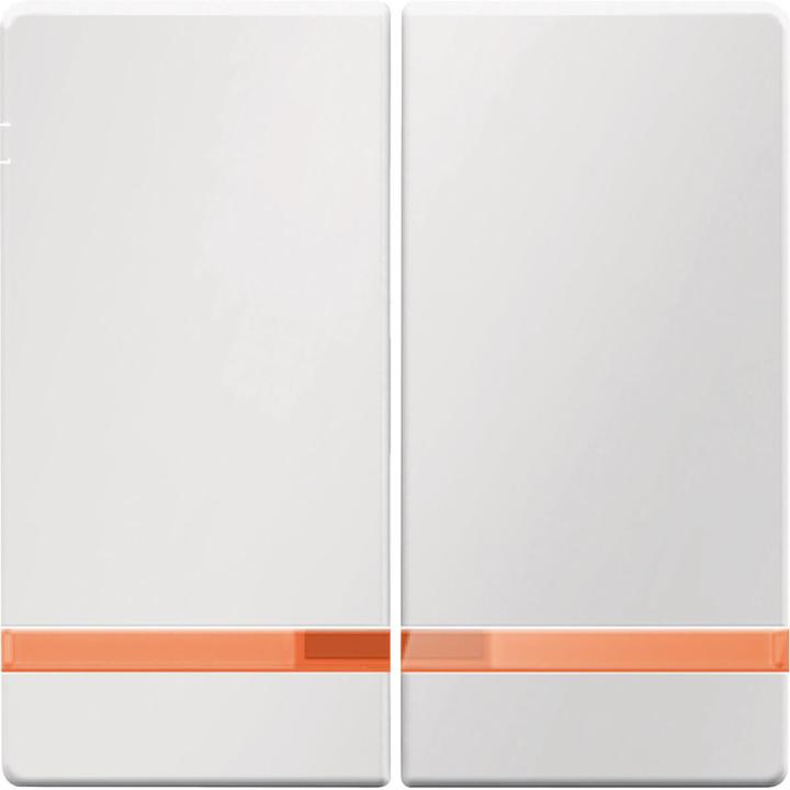 Actual product image Berker Rockers