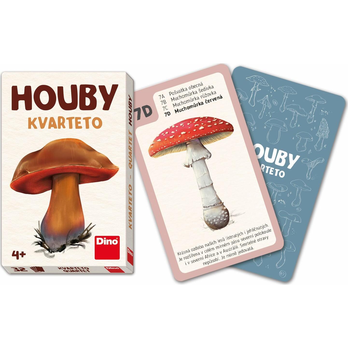 Dino Quartett Champignons