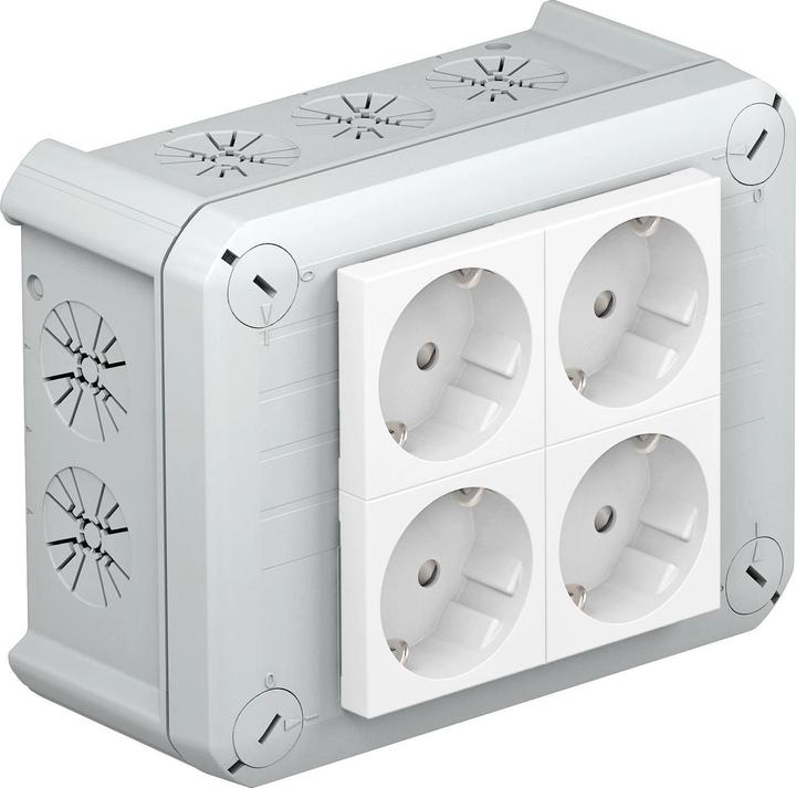 OBO Bettermann OBO T 100 4MSD WS Cable junction box 151x117x67 PP 4xsockets 33Â°ws 2+2 lichtg