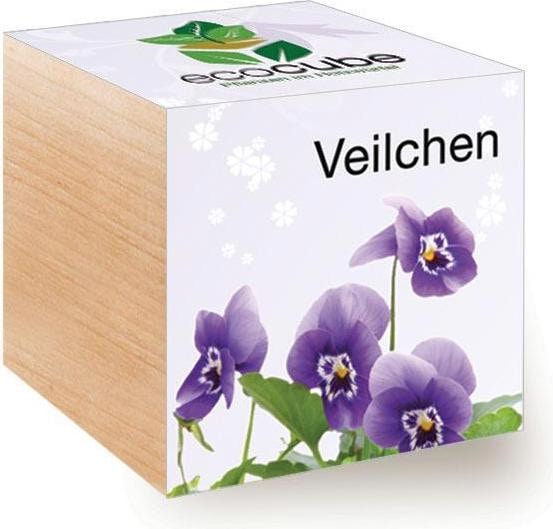 Immagine prodotto Feel Green Ecocube (Semi di fiori)