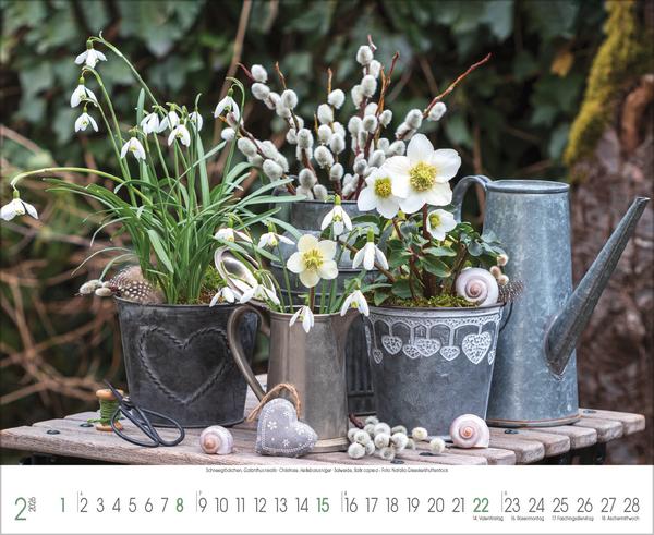 Produktbild Traumhafte Grten 2026