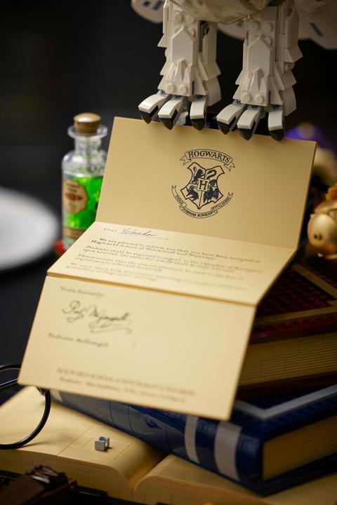 Image du produit LEGO Icônes de Poudlard - Édition Collector (76391, LEGO Harry Potter, LEGO difficiles à trouver)