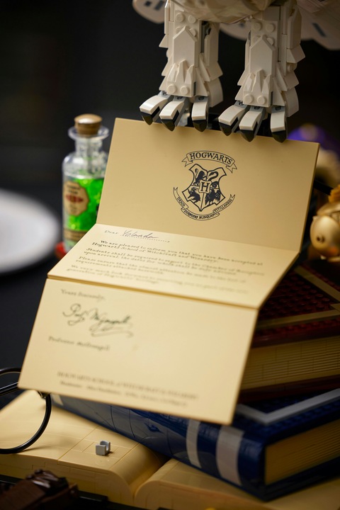 Immagine prodotto LEGO Icone di Hogwarts - Edizione da collezione (76391, LEGO Harry Potter, Set LEGO rari)