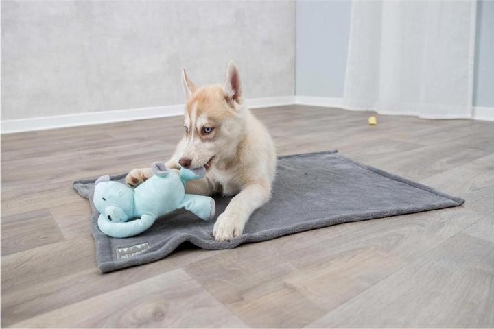 Produktbild Trixie Junior (Hund)