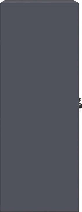 Actual product image vidaXL Büro-Beistellschrank (40 x 60 x 105 cm)