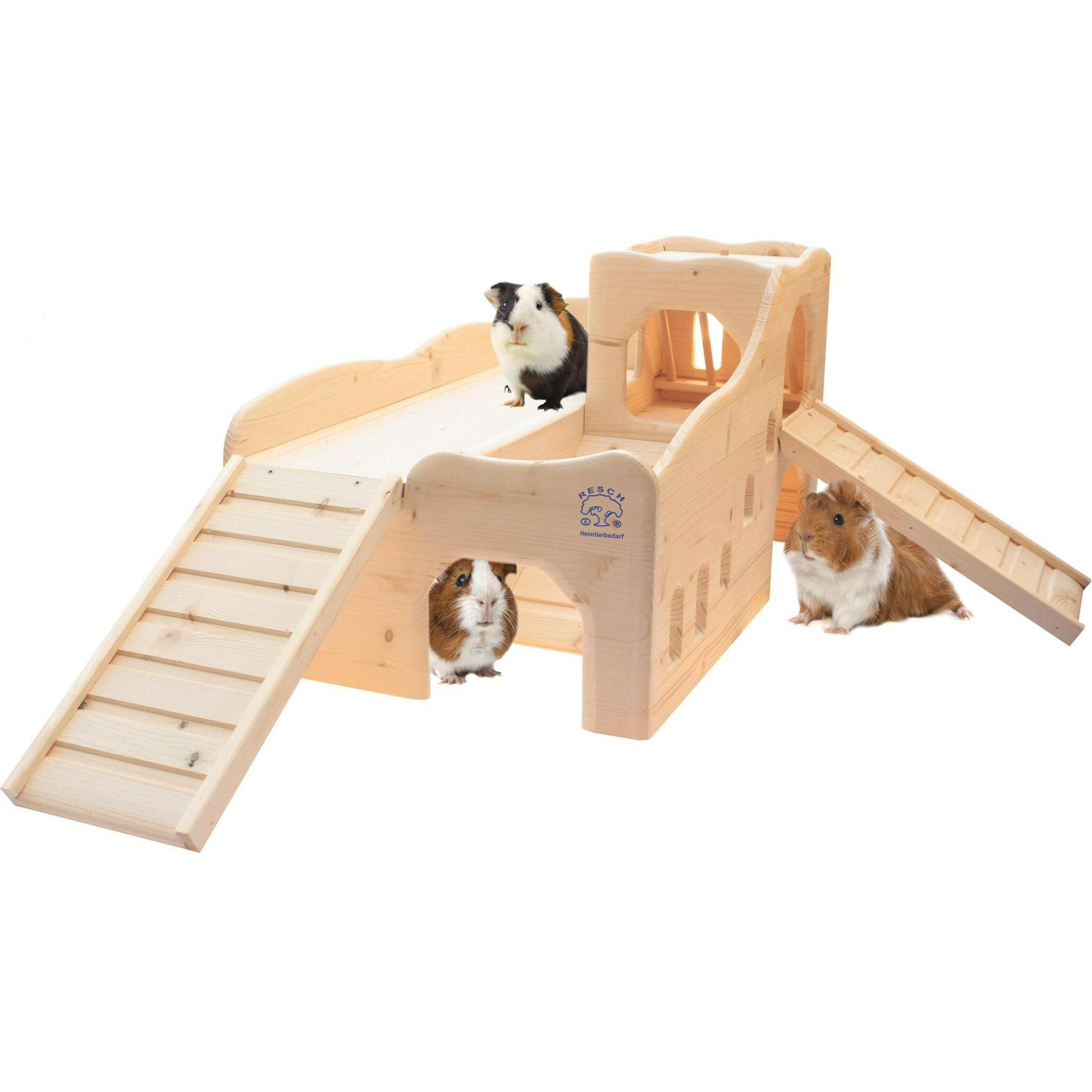 RIOUSSI Lot De 2 Doublures De Cage Pour Cochon D'Inde, Absorbantes