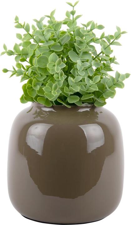 Image du produit present time Ivy (6.86 l)