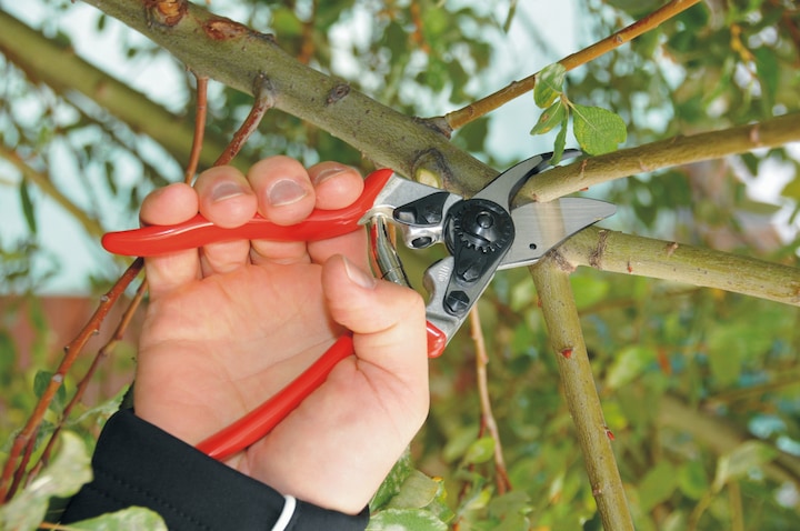Image du produit Felco Cisailles de jardin 6