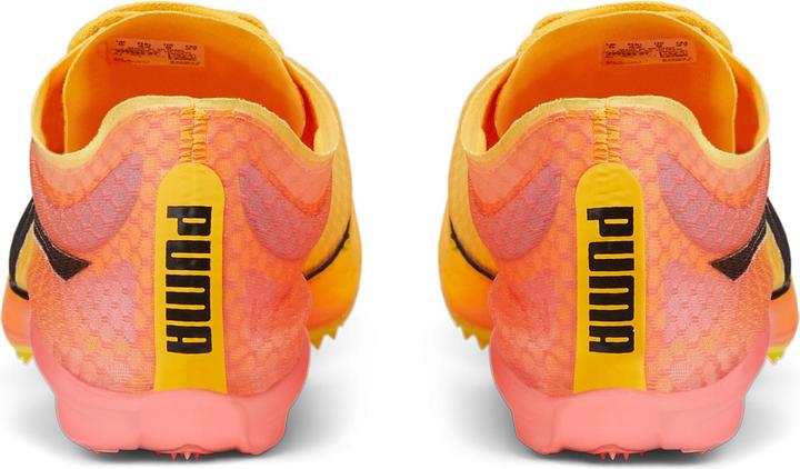 Produktbild Puma evoSPEED Distance Nitro Elit (46)