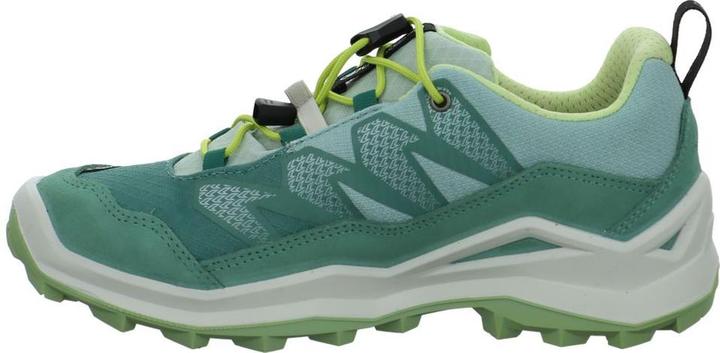 Produktbild Lowa Maddox Pro GTX LO (26)