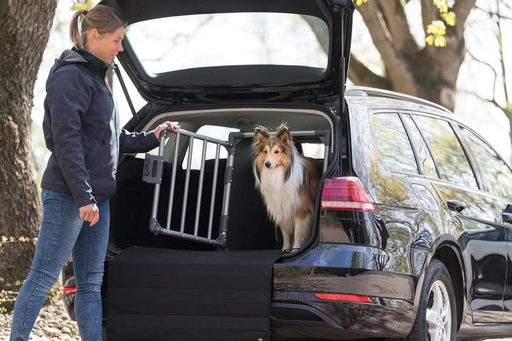 Immagine prodotto Trixie Scatola di trasporto (Cane, Traspirante, Chiusura di sicurezza)