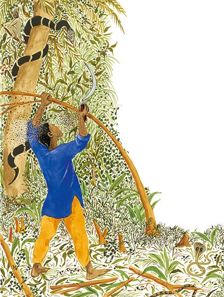 Produktbild Der Wundergarten (Deutsch, Barb Rosenstock, 2018)