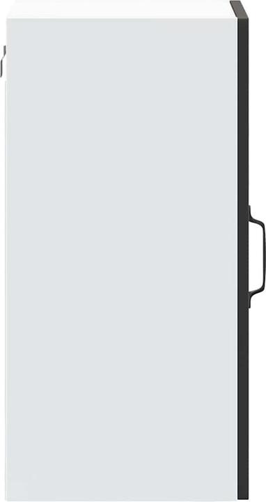 Image du produit vidaXL Küchen-Wandschrank (40 x 31 x 60 cm)