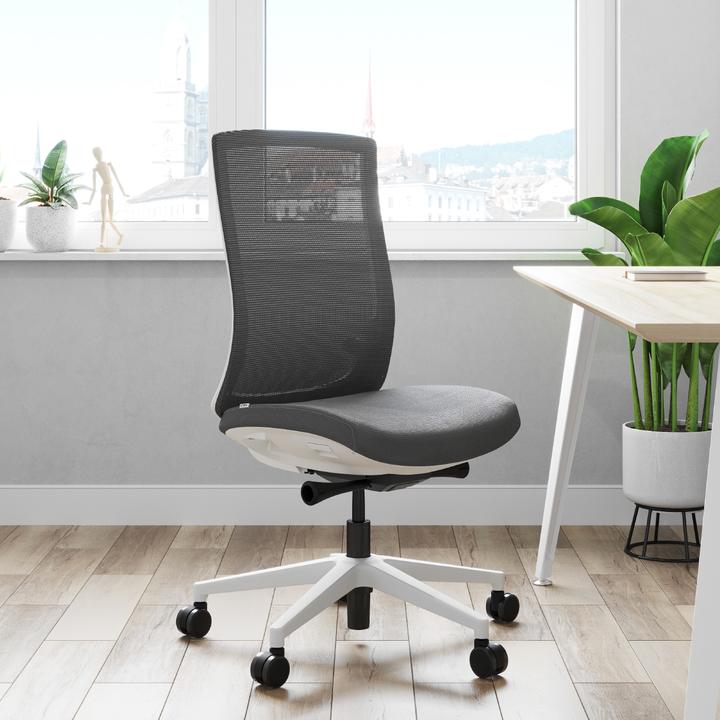 Actual product image ofinto Ergo