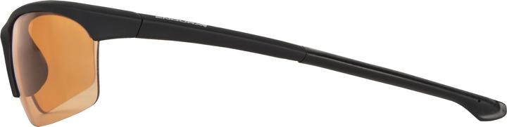 Actual product image Endura Lunettes STINGRAY Noir 4 Paires De Verres Polarisants 2012 (Black)