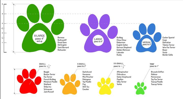Actual product image Pawz Dog shoe XL 12.7cm black 12 pcs - (278098) (XL, Dog boots)