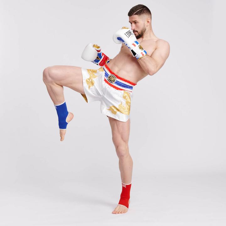 Actual product image Leone Boxhandschuhe THAI STYLE (12 OZ, One size)