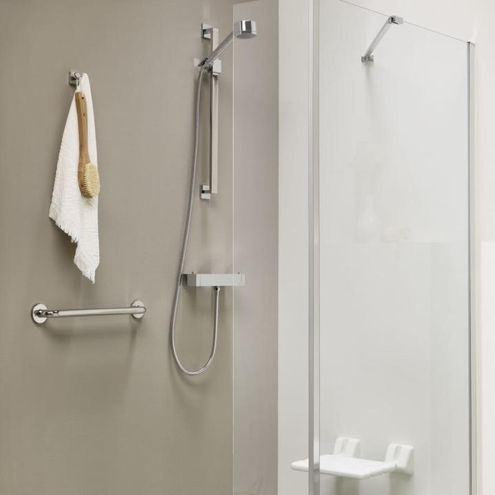 Actual product image Tiger Grab handle
