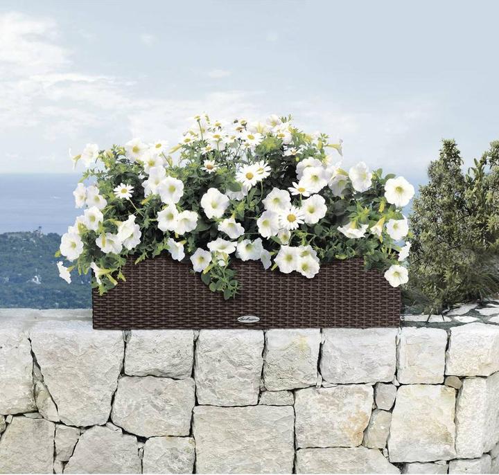 Actual product image Lechuza Balconera Cottage (19 cm)