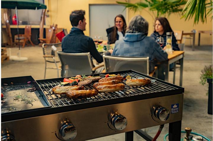 Produktbild Blaser + Trösch Companion Pro (14.04 kW)