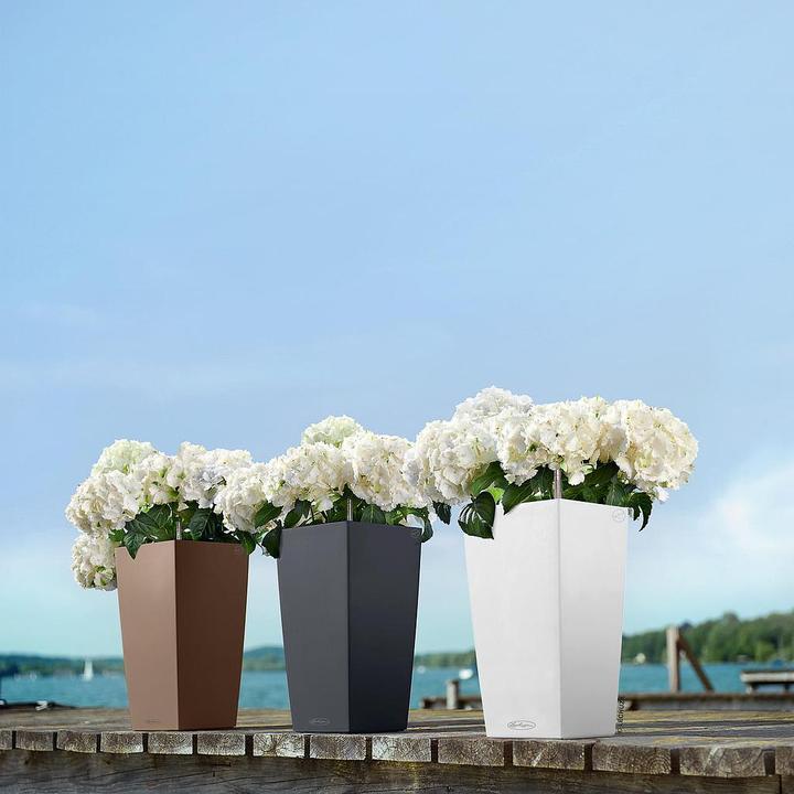 Produktbild Lechuza Cubico Color (22 cm)