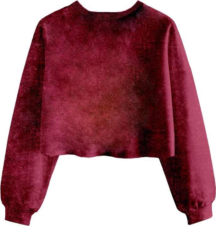 Produktbild Gryffindor Constellation Kurzes Sweatshirt (L)