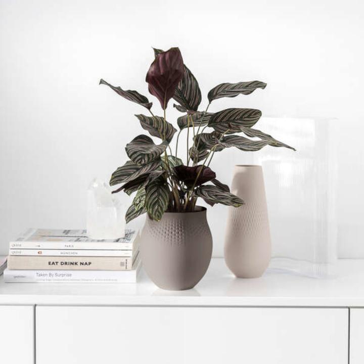 Produktbild Villeroy & Boch Collier (1 x, 21 x 21 x 23 cm, 5.50 l)