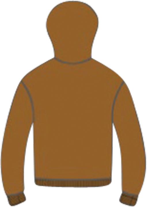 Produktbild iXS Brand 1.0 hoodie (XS)