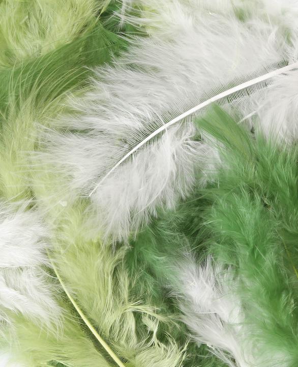 Immagine prodotto I Am Creative Miscela di piume