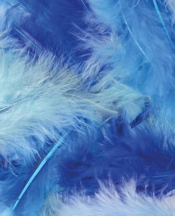 Produktbild I Am Creative Federn Mix