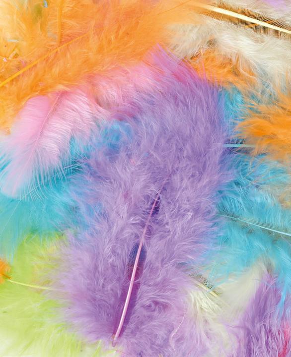 Immagine prodotto I Am Creative Miscela di piume