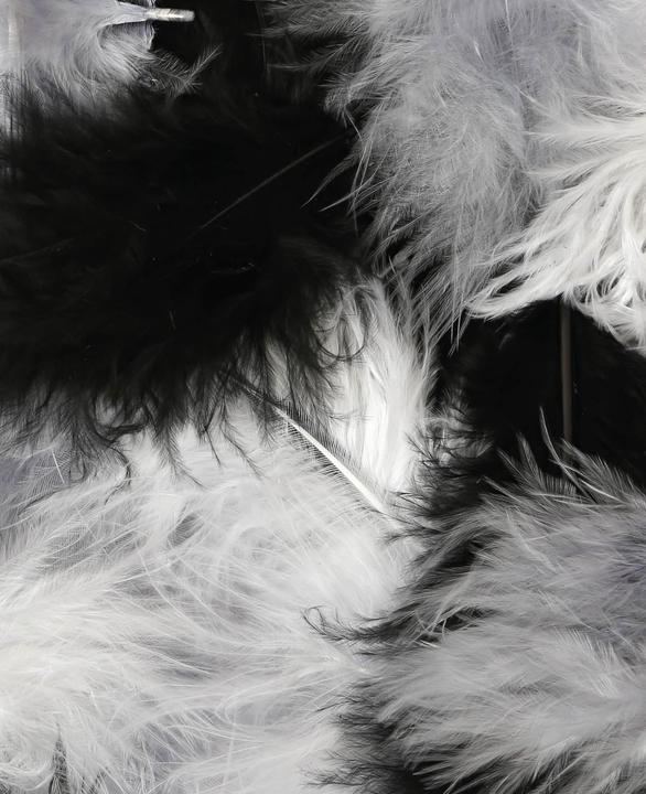 Produktbild I Am Creative Federn Mix