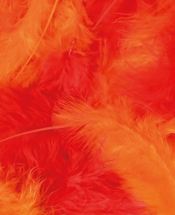 Immagine prodotto I Am Creative Miscela di piume