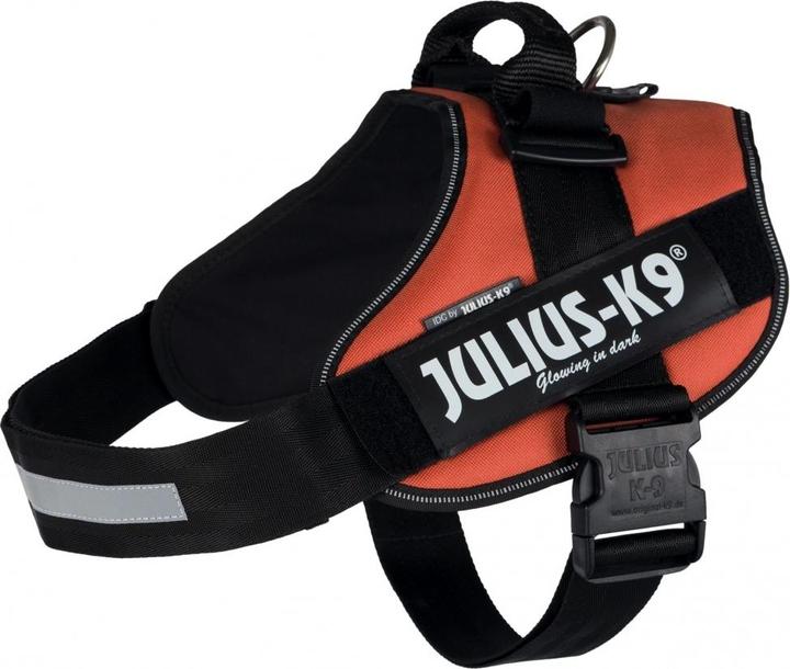 Actual product image Julius-K9 IDC Power harness 3/XL (3, Dog, General)