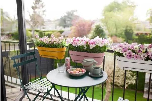 Image du produit Elho Vibia Campana (18.20 cm)